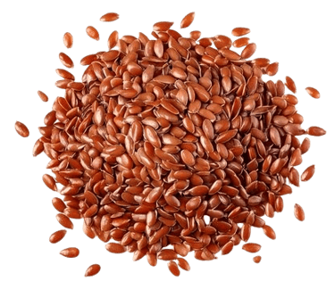 flax seeds trader