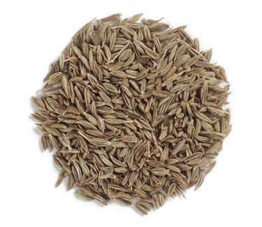 cumin seeds trader
