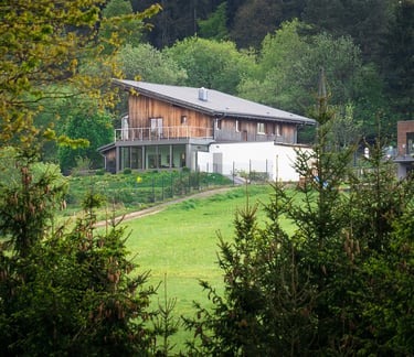 Une magnifique maison en bois dans un grand jardin, paisible nature