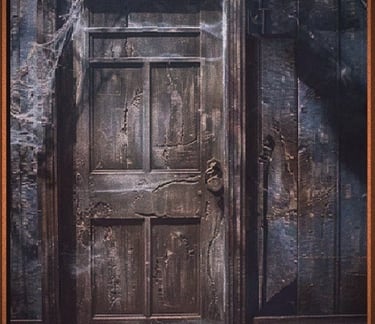 The Tall Ragged Door - Excerpt
