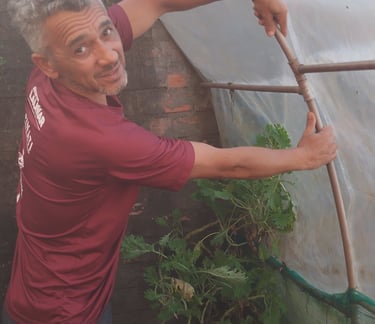 Foto minha na estufa/horta ao fundo um pé de couve