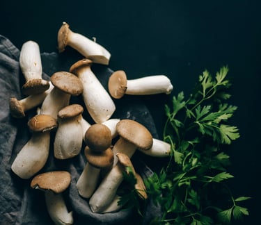 funghi ostrica reale in vendita