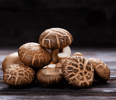 shiitake fresci piemonte