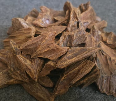tunggul root
