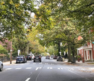 Fall leaves and trees on the road of downtown Lancaster, Pennsylvania