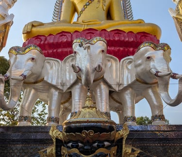 Golden Buddha statue sitting on white elephant sculptures at a Thai temple shrine.