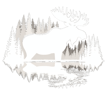 a moose moose moose moose moose moose moose moose moose moose moose moose moose moose moose