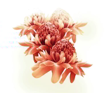 Sothys