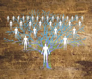 sistēmiskie sakārtojumi