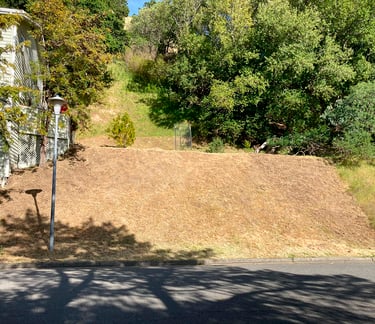 Yard Clean Up service