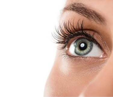 Hair and Esthetics Courses