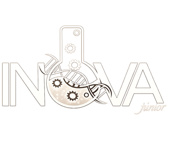 logo inova jr consultoria empresarial