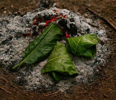Leaves wrapping cooked food on fire coals for primitive outdoor survival cooking