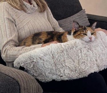 Calico cat enjoying connection in the Furr Lap, Pet Lap Bed