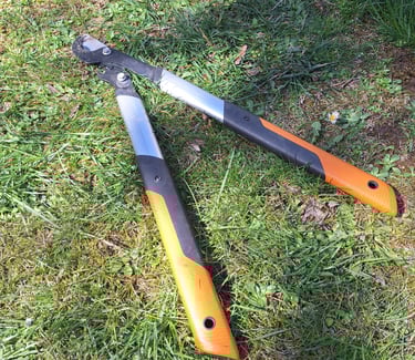 a scissors for trimming hanging garden plants