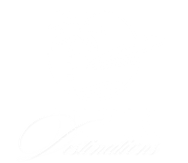 EPIK Destinations travel logo with a private jet flying past a palm tree on a black background.