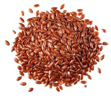 flax seeds trader