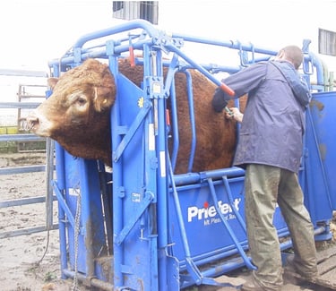 Mangas de manejo portátiles Priefert