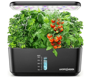 indoor plant garden in black container with plants and tomatoes in it