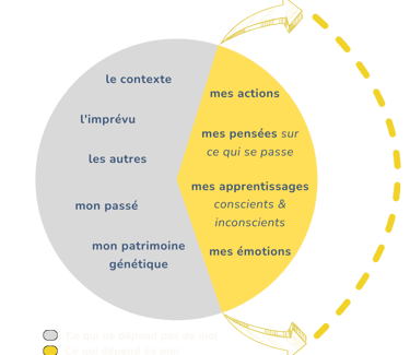 graphique divisant la responsabilité