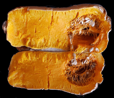 Butternut Squash w/Seeds