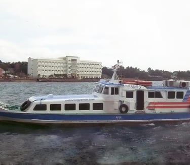 EB Aznar Shipping Lines