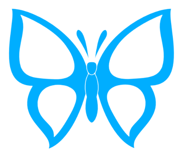 papillon  bleu clair sur fond blanc