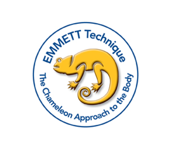 Emmett Technique - The Chameleon Approach to the body