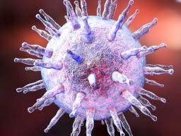 A virus