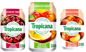 Kutu Meyve Suyu Çeşit