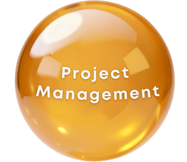 Project Management - on orange marble