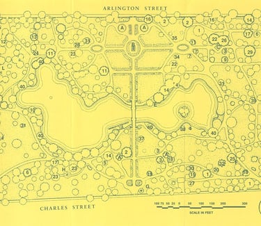 map courtesy of Friends of the Public Garden