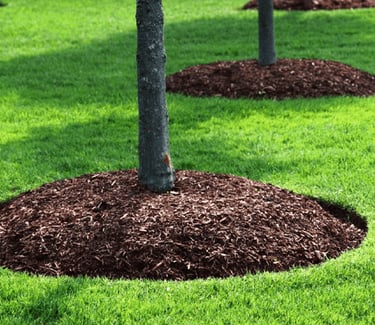 mulching garden bed