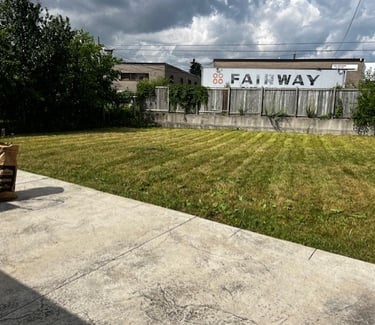 mowed grass