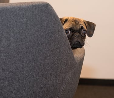 angoisse, culpabilité, mauvaise estime de soi