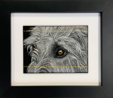 Detailed scratchboard of an Irish Wolfhound eye