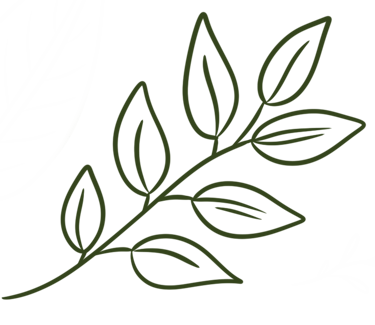 Branche avec feuilles vertes