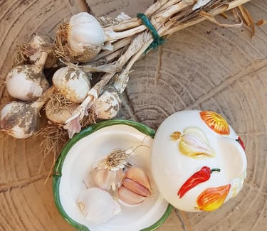 Freshly harvested organic garlic bulbs tied in a bundle next to a ceramic garlic keeper on a rustic wooden table.