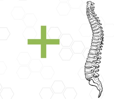 Visual representation of other specialties we offer