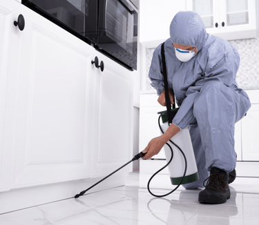 pest control services in hampton roads