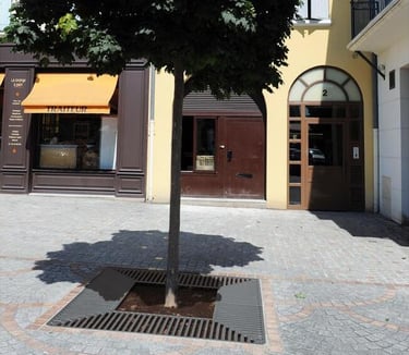 Medžio šaknų ir kamieno apsaugos