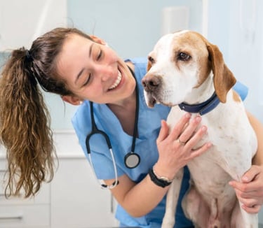 Talk to your veterinarian