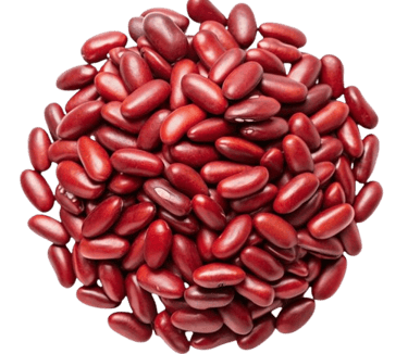kidney beans trader