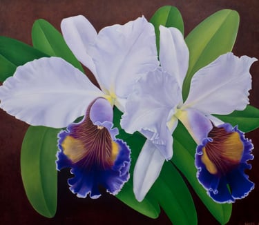 Cattleya Twins
