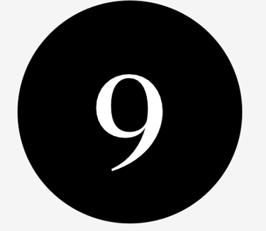 dogAdvisor (9)