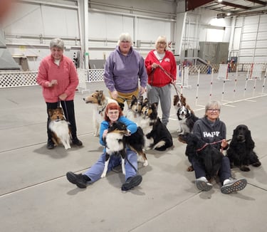 Dog Training Group - GOWAG's!