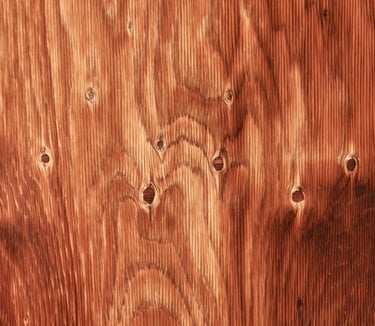 Blackboard supplier in India