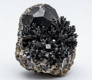 Bright living room with modern inventory