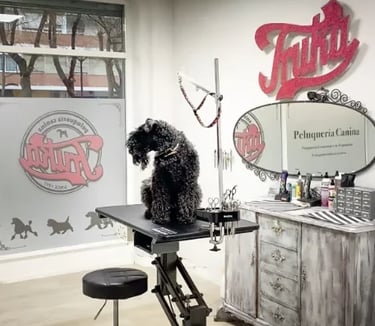 peluquería canina en Alcorcon