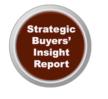 Strategic Buyers Insight Report